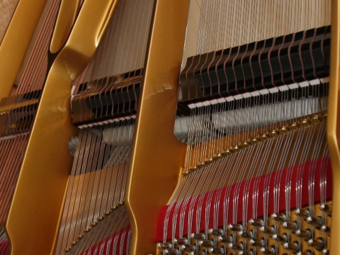 Steingraeber A-170 Salon Grand