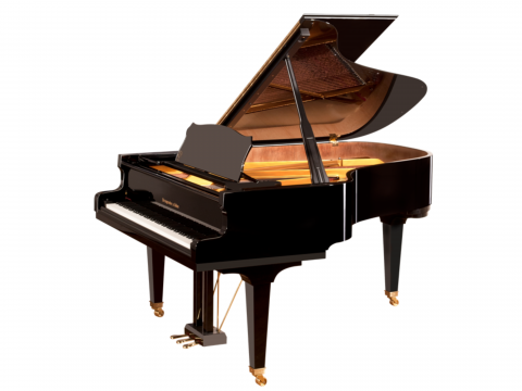 B-192 Salon Concert Grand