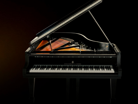 Steinway & Sons - The Jet Noir