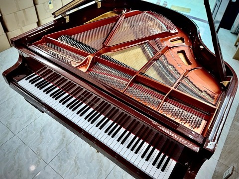 Wendl & Lung Mod.151 Mahogany - Silent