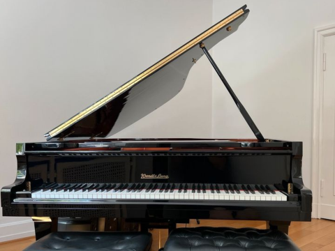 Wendl & Lung Mod.218 Concert I