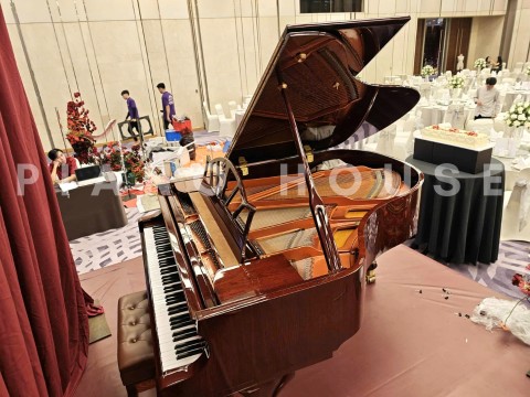 Wendl & Lung Mod.180