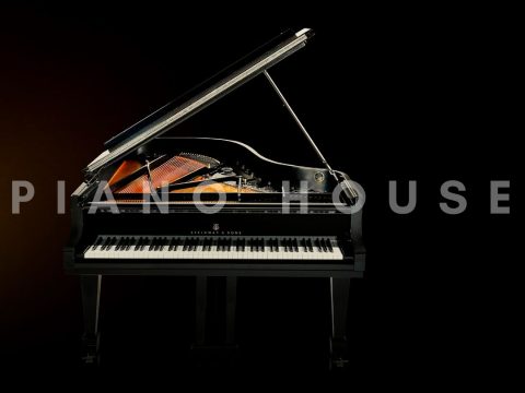 Steinway & Sons - The Jet Noir