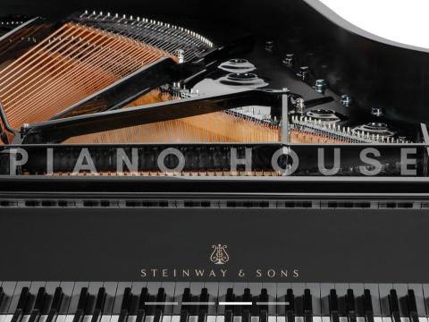 Steinway & Sons - The Jet Noir