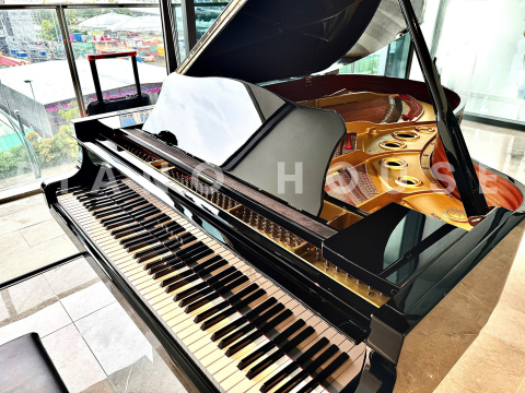 YAMAHA C5A PE Seri 4