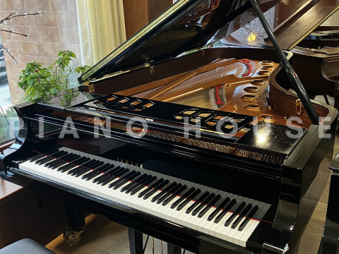 YAMAHA CFX (Next Generation)