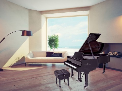 STEINWAY C-227