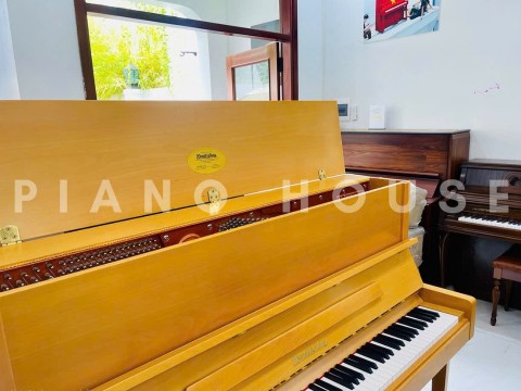 Wendl & Lung Mod.122 (Cherry Satin)