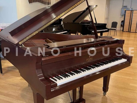 Essex EGP-161N Cherry Satin (USED)