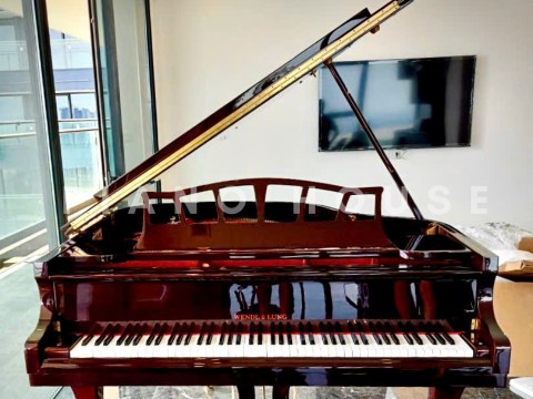 Wendl & Lung Mod.151 Professional III