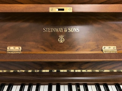 STEINWAY Z114 WN
