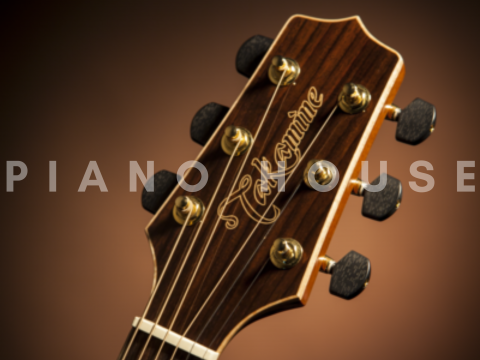Takamine GN93CE