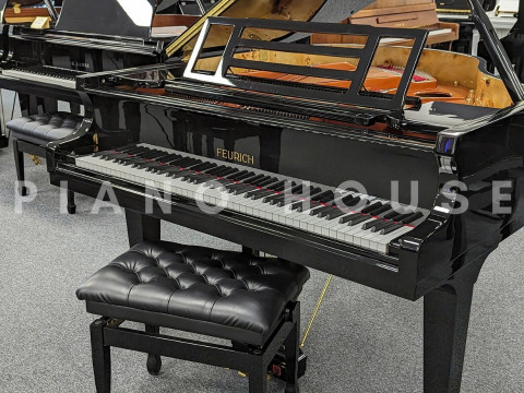 FEURICH 162 - "DYNAMIC I" (Black Polish & Brass)