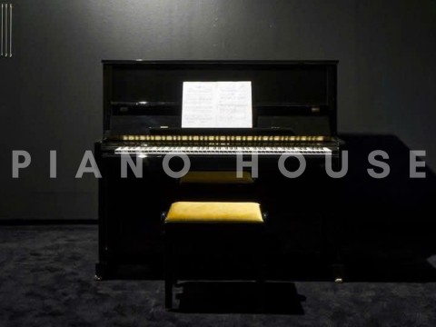 T128 (W.HOFFMANN TRADITION)