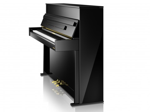 V2 (W.HOFFMANN VISION)