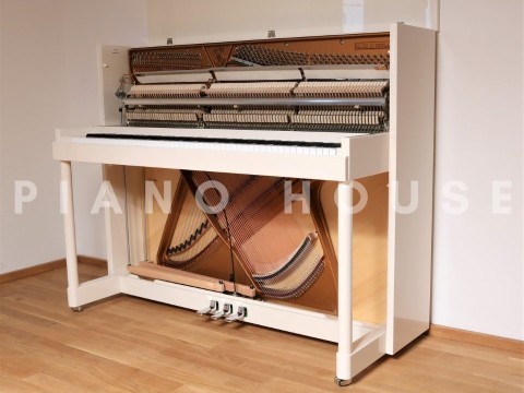 Sauter Vision 116 (White Polished)