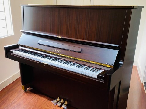 YAMAHA U5
