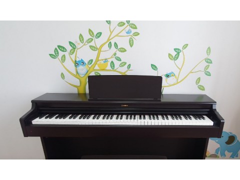 Top những cây đàn piano điện giá rẻ bán chạy nhất năm 2021