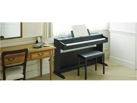 Các Thương Hiệu Đàn Piano Được Lựa Chọn Nhiều 