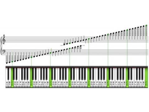 Đàn piano có bao nhiêu phím? Phương pháp ghi nhớ piano Mèo Đen