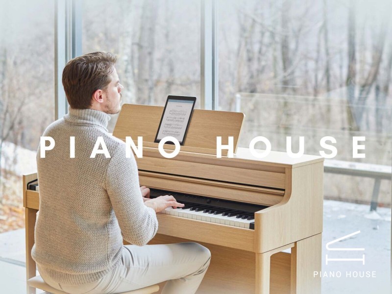 ROLAND HP-704 (USED) Có Tốt Không?