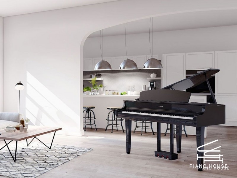 So sánh YAMAHA CLP-795 GP và YAMAHA CLP-765GP