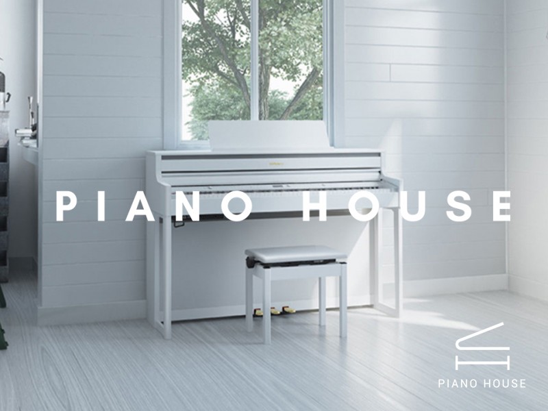 So sánh Piano Digital The ONE (X100) và Roland HP-702