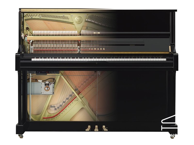 Tìm Hiểu YAMAHA YUS1 TA2 TRANSACOUSTIC™