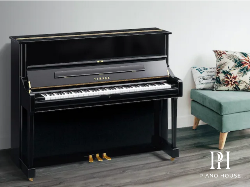 Tìm Hiểu YAMAHA U1 SH3 PE
