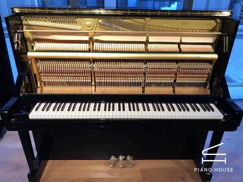 Đánh Giá YAMAHA YU3