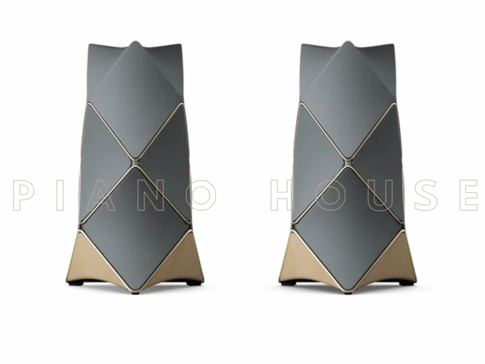 Loa Bang & Olufsen Beolab 90 Forged Iron Grey