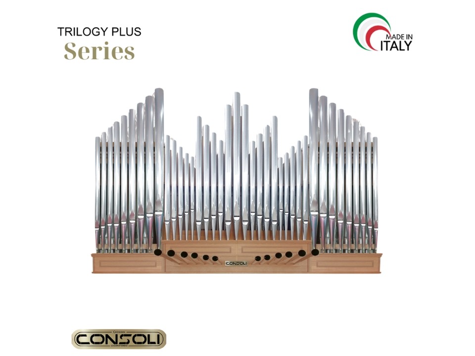 navy ostrich watch bands (4)