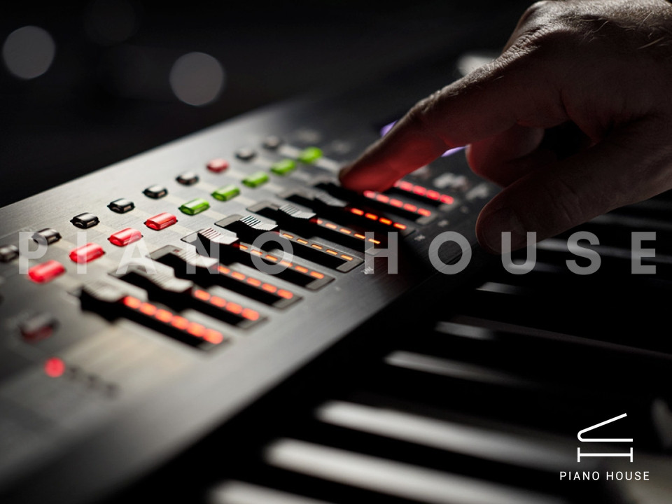 navy ostrich watch bands (4)