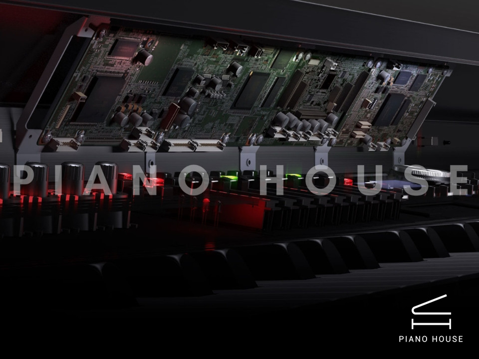 navy ostrich watch bands (4)