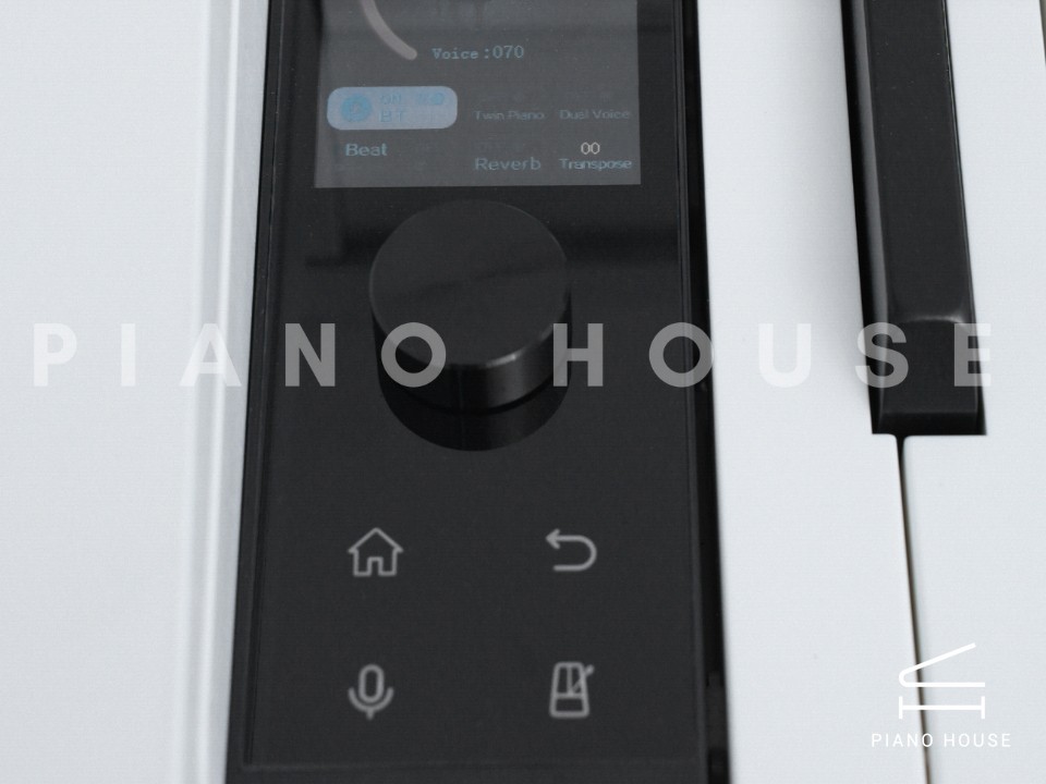 navy ostrich watch bands (4)