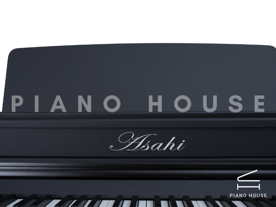 navy ostrich watch bands (4)