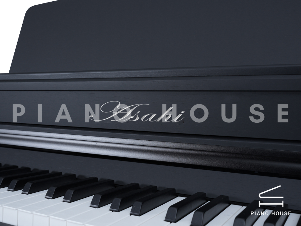 navy ostrich watch bands (4)