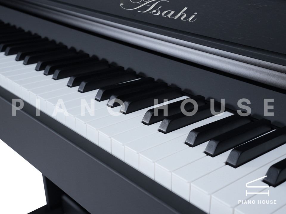 navy ostrich watch bands (4)