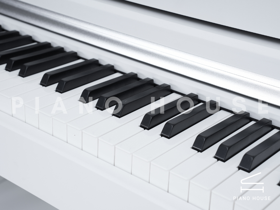 navy ostrich watch bands (4)