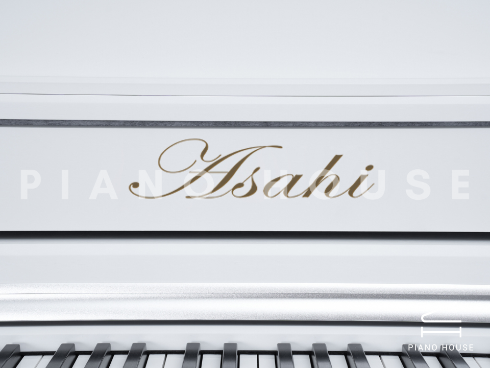 navy ostrich watch bands (4)