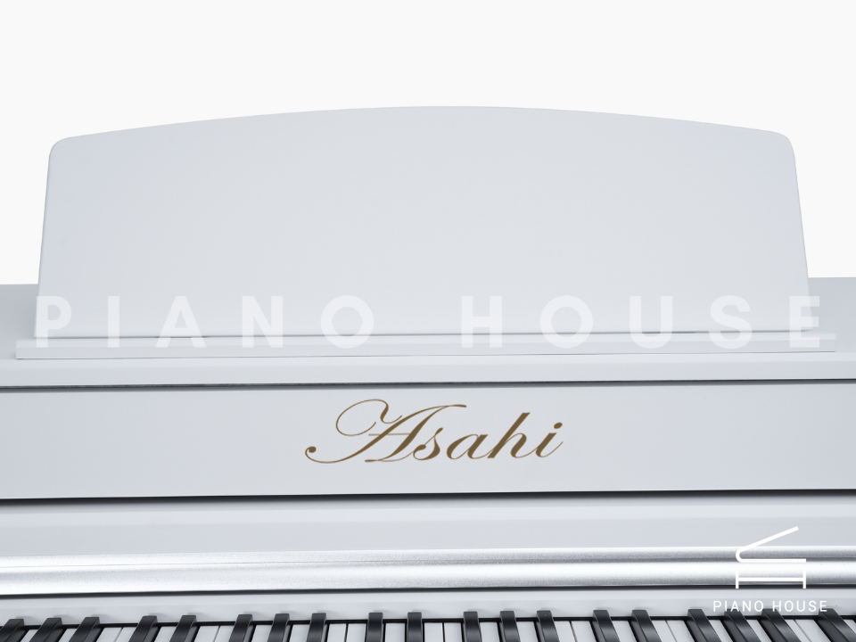 navy ostrich watch bands (4)