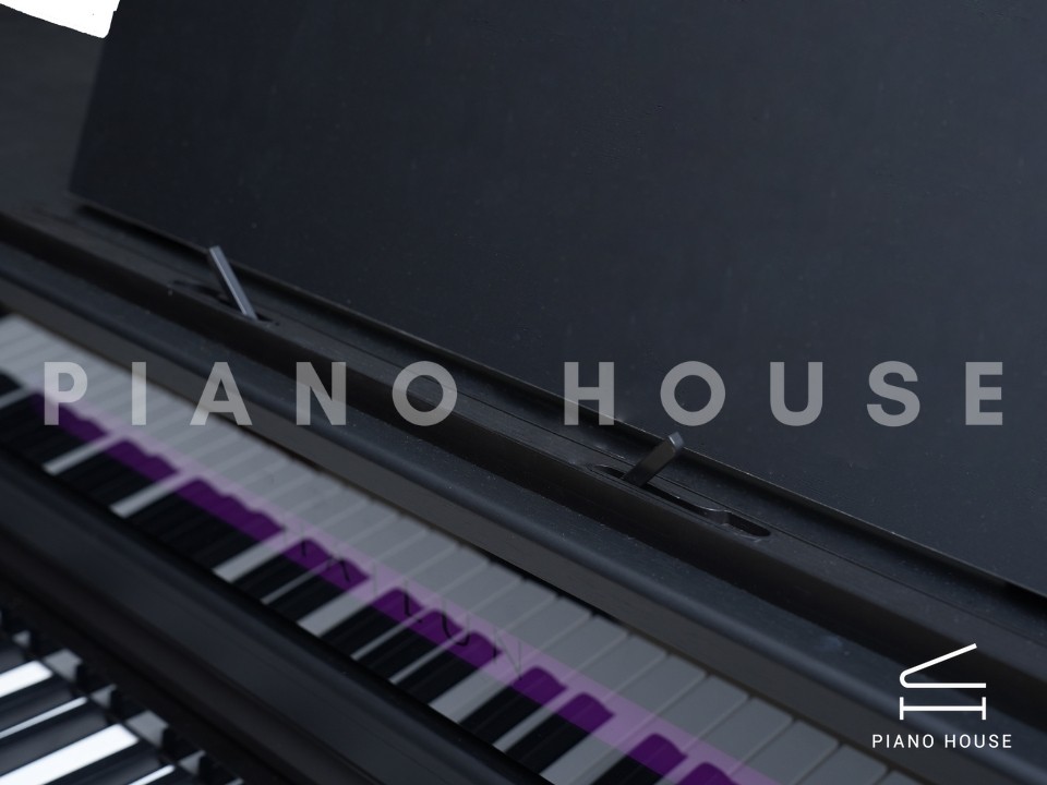 navy ostrich watch bands (4)