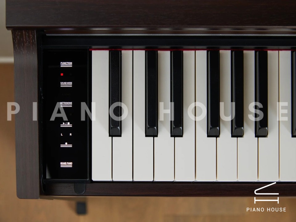 navy ostrich watch bands (4)