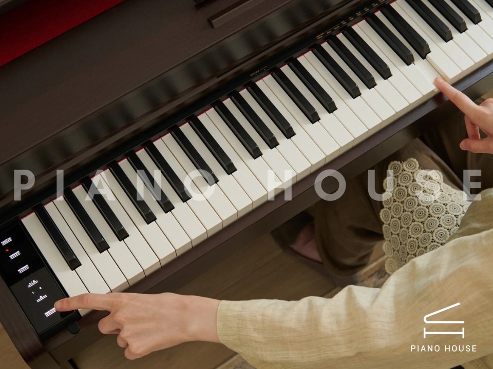 navy ostrich watch bands (4)