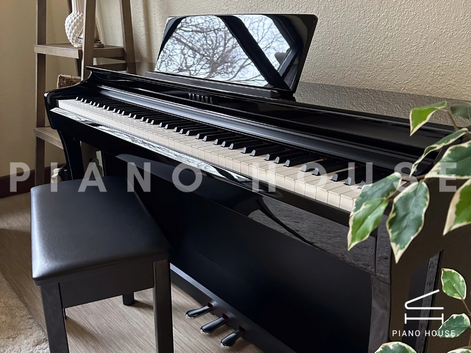 navy ostrich watch bands (4)