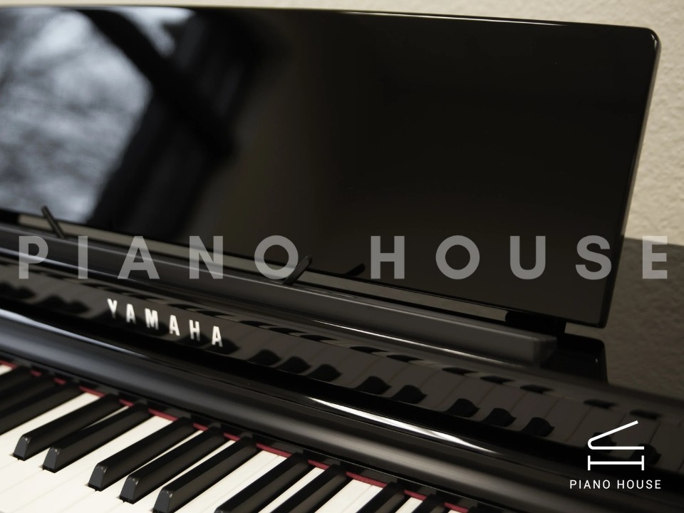 navy ostrich watch bands (4)