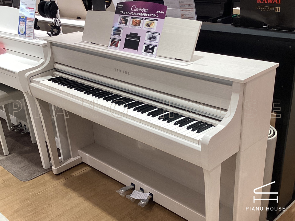 navy ostrich watch bands (4)