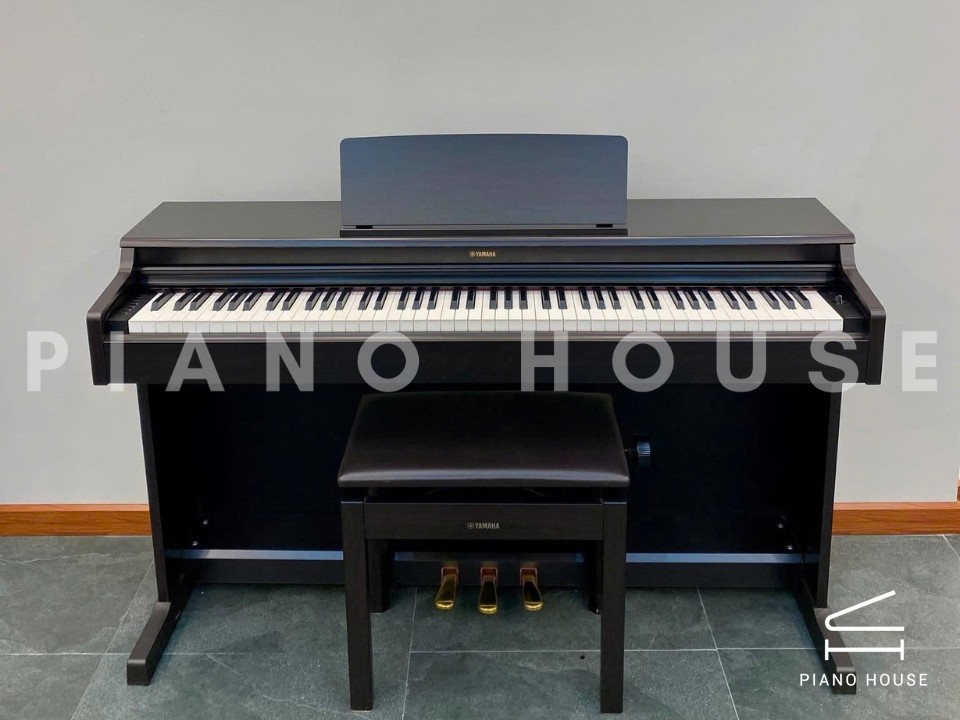 navy ostrich watch bands (4)