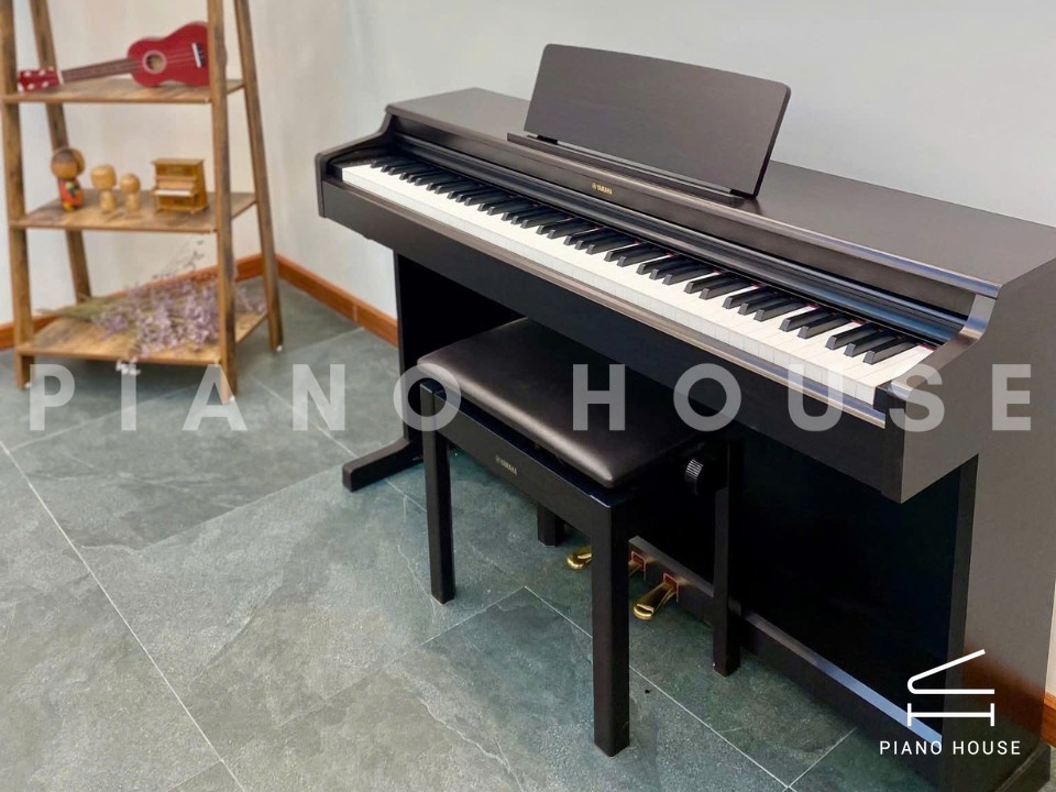 navy ostrich watch bands (4)