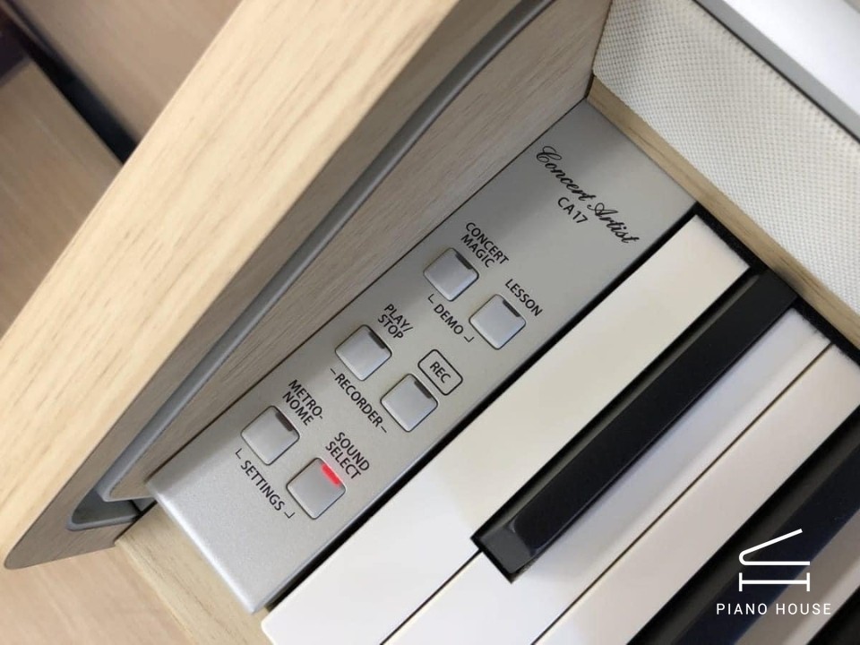 navy ostrich watch bands (4)